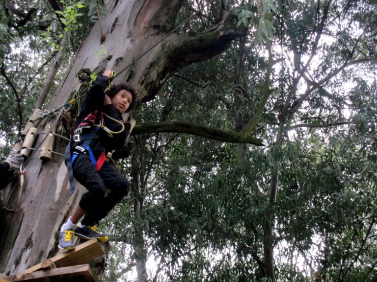 Acrobranch climbing the trees